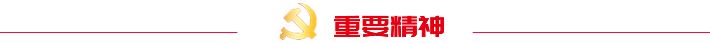 合肥通用院聚焦二十大专题页面1(1).png